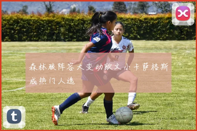 森林狼阵容大变动欧文小卡萨格斯成热门人选